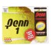 Теннисные мячи Penn® Championship Extra Duty Tennis Ball. Банка 3 мяча.