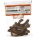Тамарин - целые бобы Badia® USA Tamarind - 6 oz\170,1гр сами бобы в пакете могут быть слегка раздроблены #BA00661