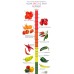 Перец чили целый Пекин Piquin Chili Pods Whole by Pepitos Chilitos® 30000-50000 Scoville Heat Units - 1lb\ 0.454кг #20586