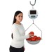 Весы цифровые, подвесные, на солнечной батарее Solar Power Hanging Scale от Cardinal Detecto® USA до 15 кг/30 фунтов #SCS30