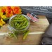 Перец чили целый, маринованный для Чикагских хот-догов "Sport Peppers" от Chipico® USA - 7,56лит./ 2галона #56768