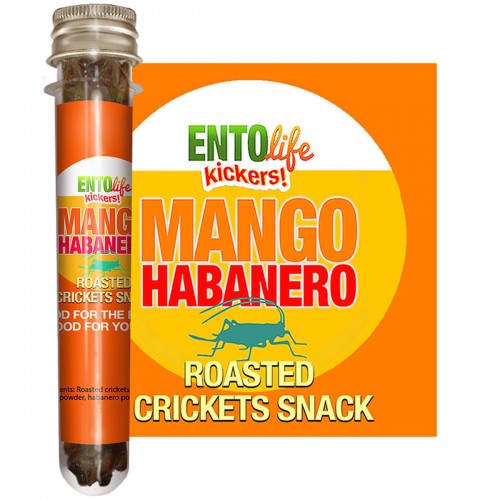 Сверчки жареные с манго и жгучим хабанеро Моле Mini-Kickers Mango Habanero от EntoVida® USA - 10гр\около 100 сверчков в тубусе #EL-001-00006