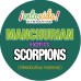 Скорпион Маньчжурский съедобный Manchurian Scorpion от EntoVida® USA - 24шт\уп. #EV-026-00010-1