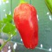 Дыхание Дьявола - молотый эквадорский перец Devil's Breath Pepper от Fiery Farms® USA 120-186тыс. SHU - 1кг./2.2 lb. #38059