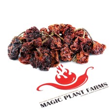 Ямайский Красный Скотч Боннет - целые стручки перца чили Scotch Bonnet Pepper от Fiery Farms® USA 200-350тыс. SHU - 1кг./2.2 lb. #37839
